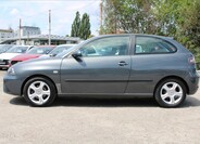 Seat Ibiza 8