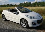 Peugeot 207 53