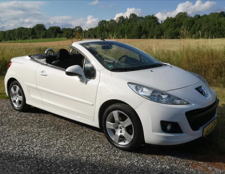Peugeot 207 53