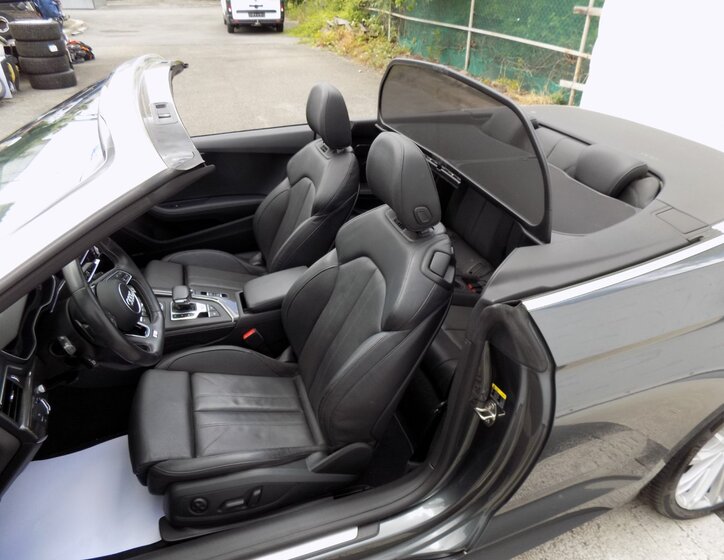 Audi S5 18
