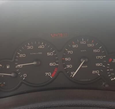 Peugeot 206 6