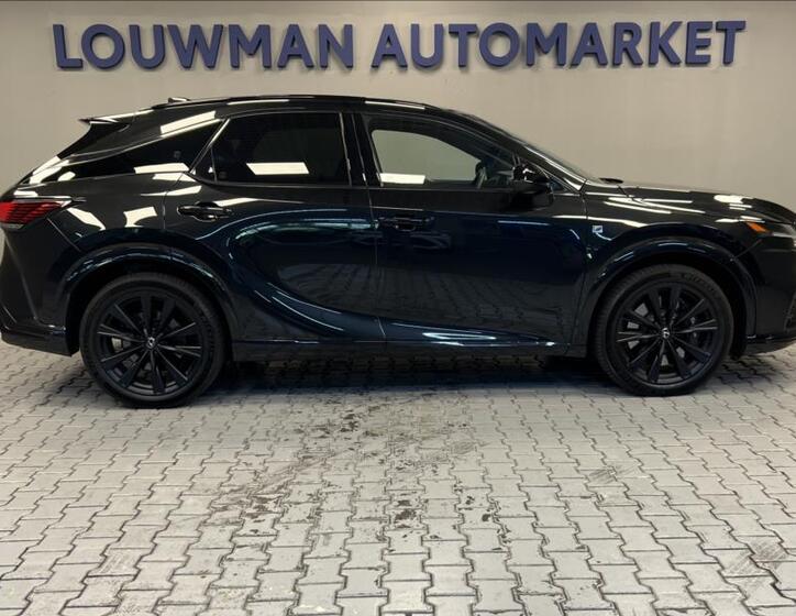 Lexus RX 500h 14