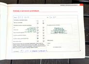 Seat Ibiza 41