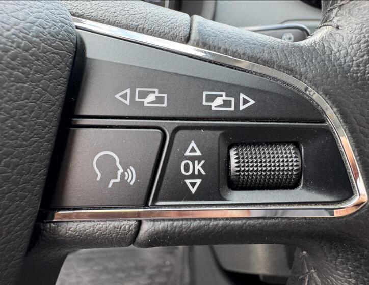 Seat Ibiza 31