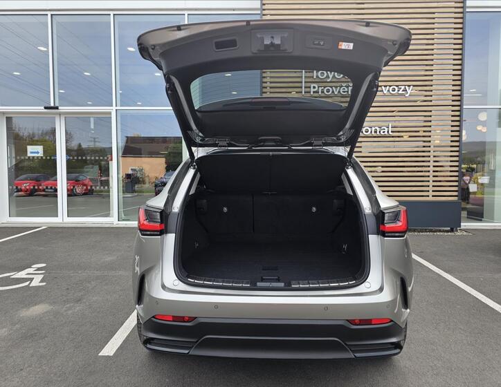 Lexus NX 450h plus 14