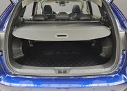 Subaru Crosstrek 19