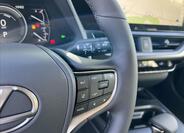 Lexus UX 250h 9