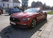 Ford Mustang 11