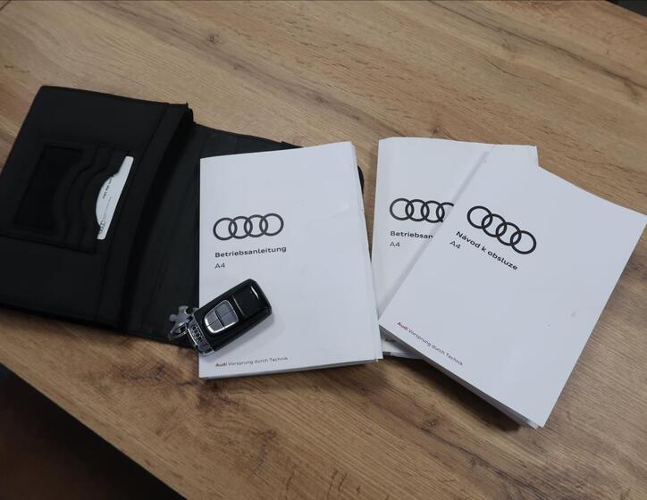 Audi A4 Allroad 29