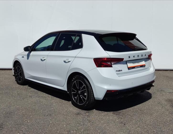 Škoda Fabia 29