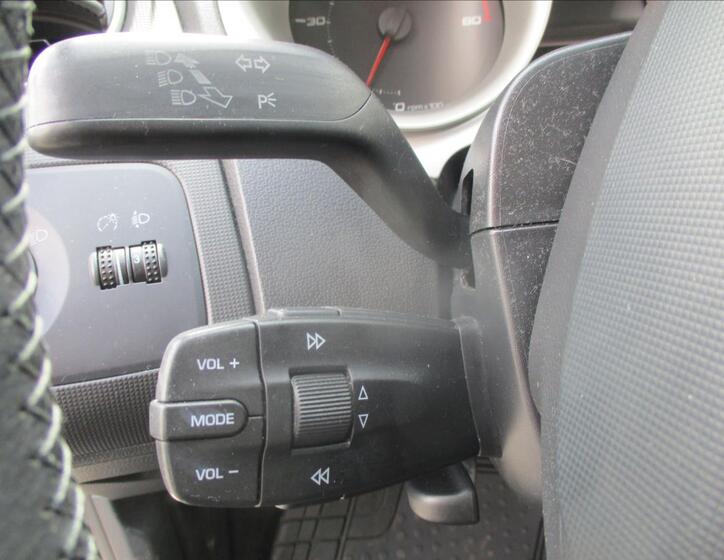Seat Ibiza 10