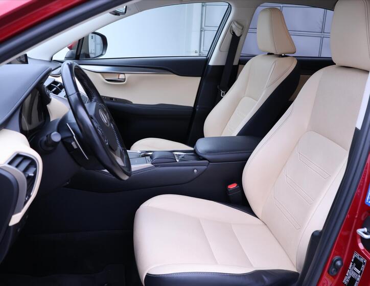 Lexus NX 300h 12