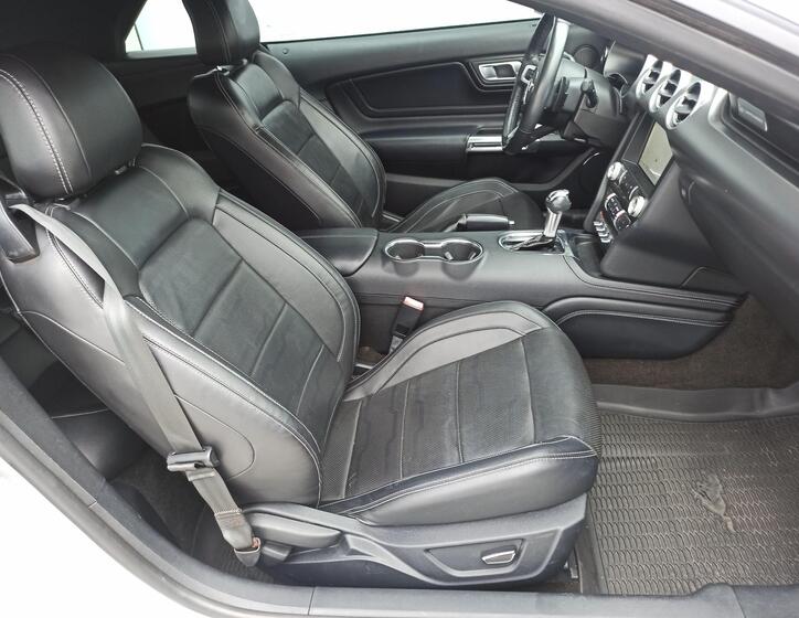 Ford Mustang 10