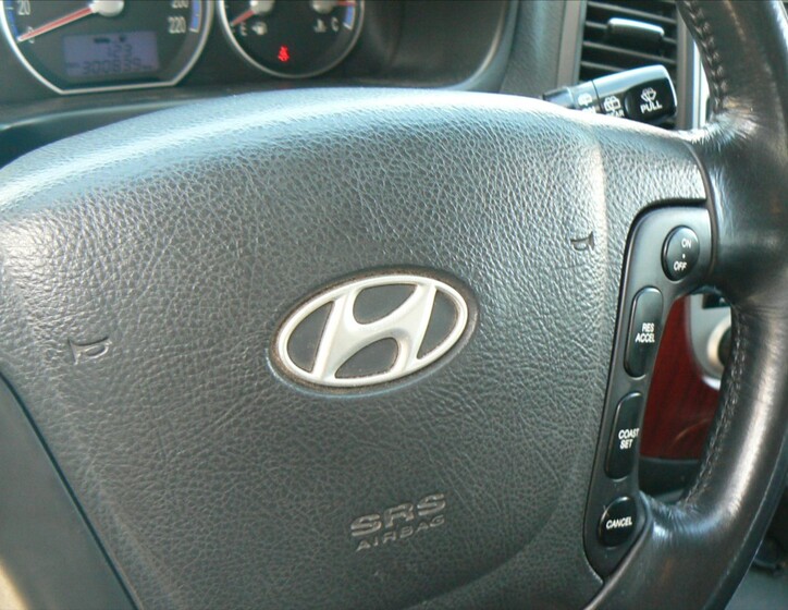 Hyundai Santa Fe 13
