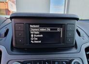 Ford Transit 31