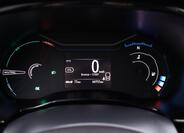 Dacia Spring 19