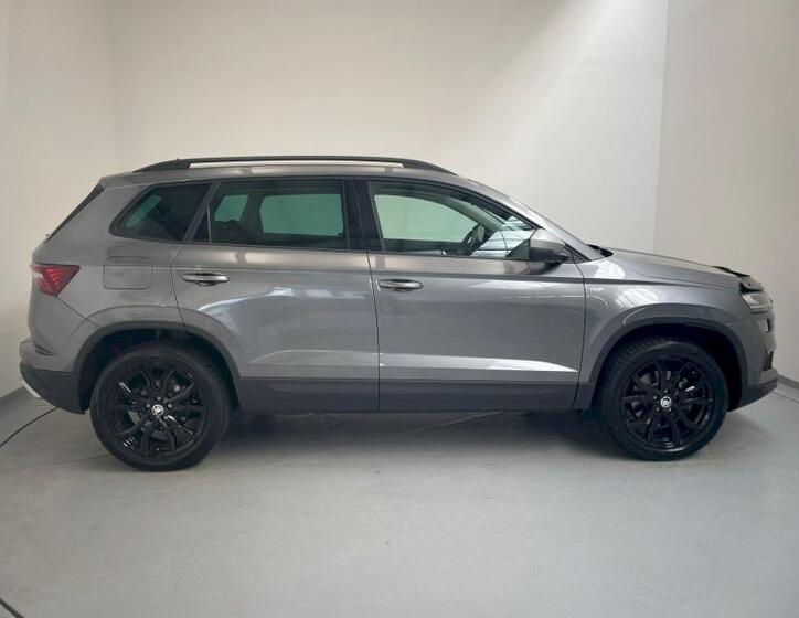 Škoda Karoq 11