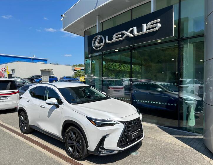Lexus NX 350h 7