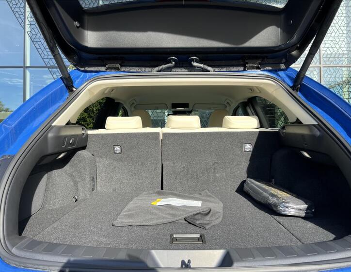 Lexus UX 250h 14