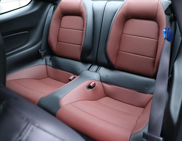 Ford Mustang 16