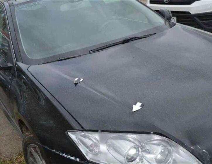 Renault Laguna 7