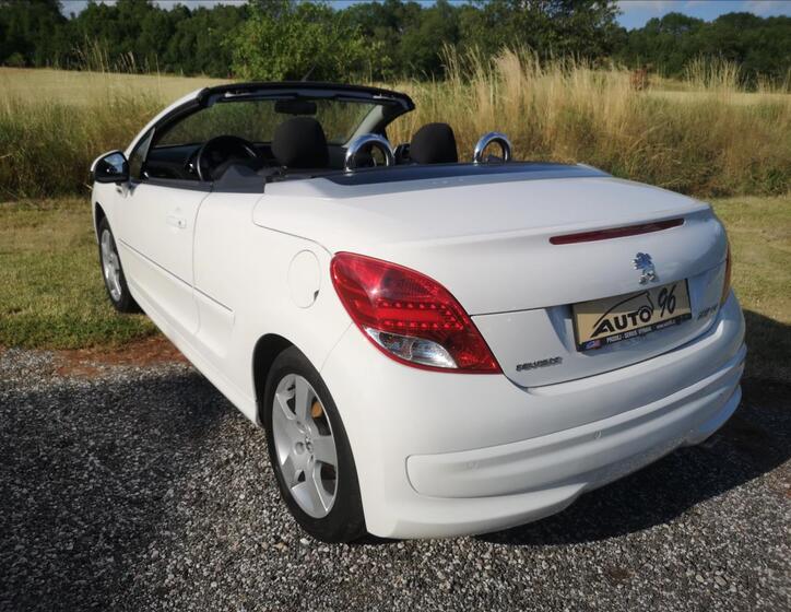 Peugeot 207 61