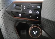 Cupra Terramar 15