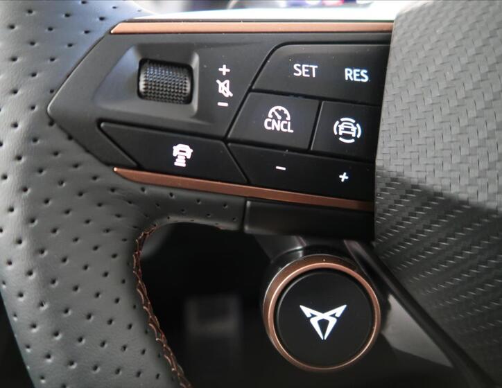 Cupra Terramar 15