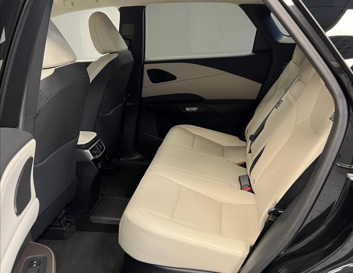 Lexus RX 450h plus 8