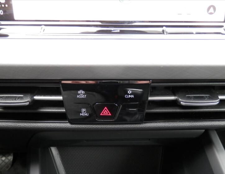 Volkswagen Golf 24