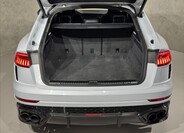 Audi RS Q8 19