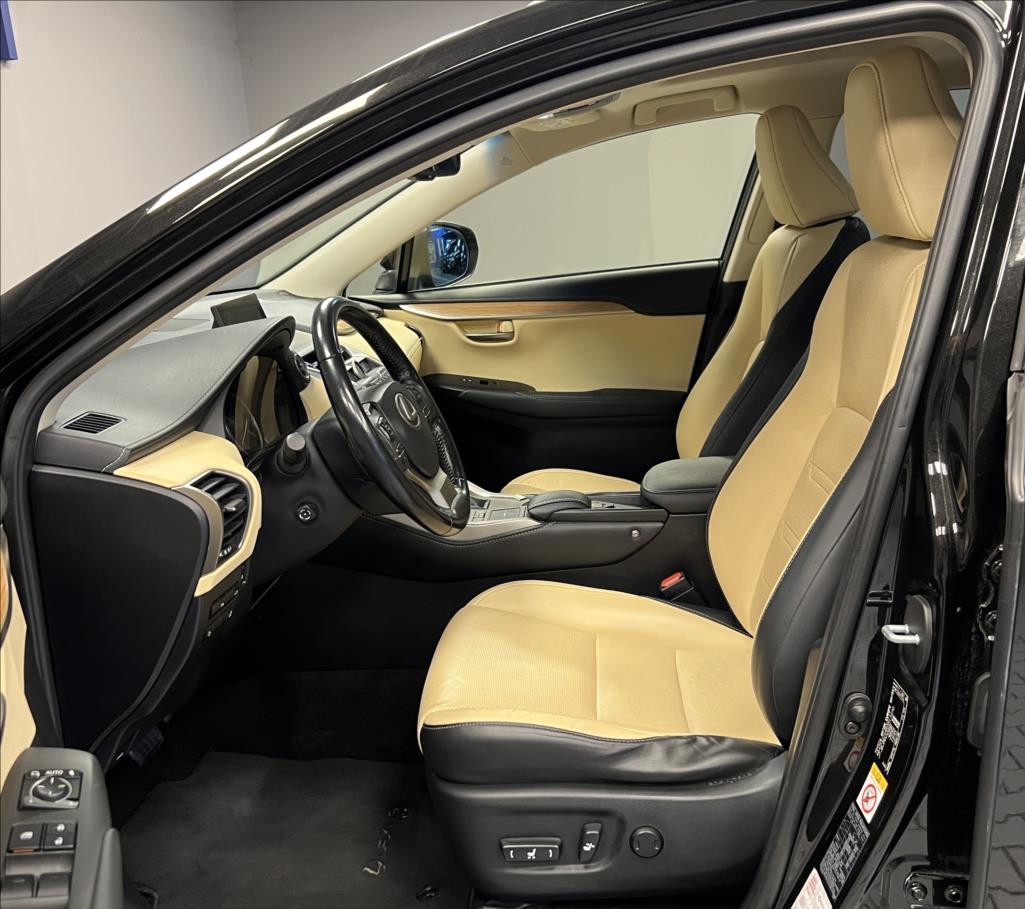 Lexus NX 300h