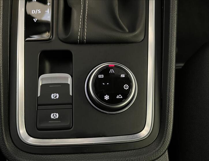 Seat Ateca 20