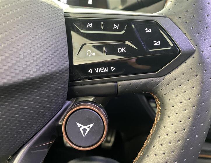 Cupra Born 12