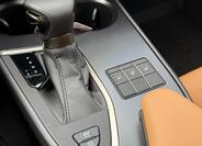 Lexus UX 250h 21