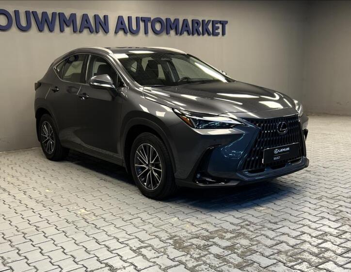 Lexus NX 350h 11