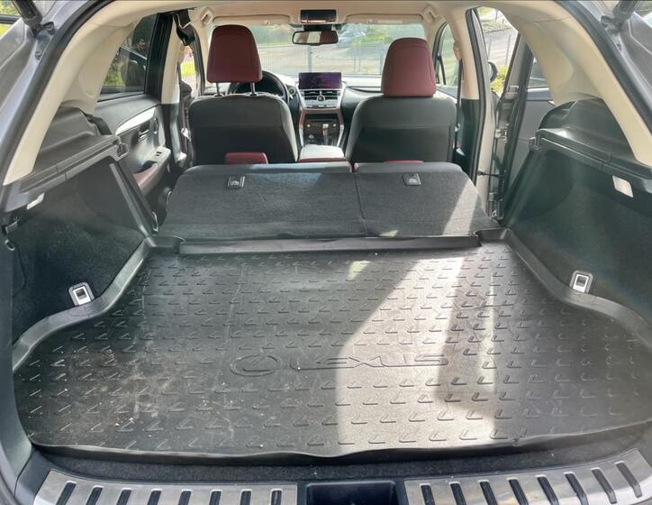 Lexus NX 300h 12