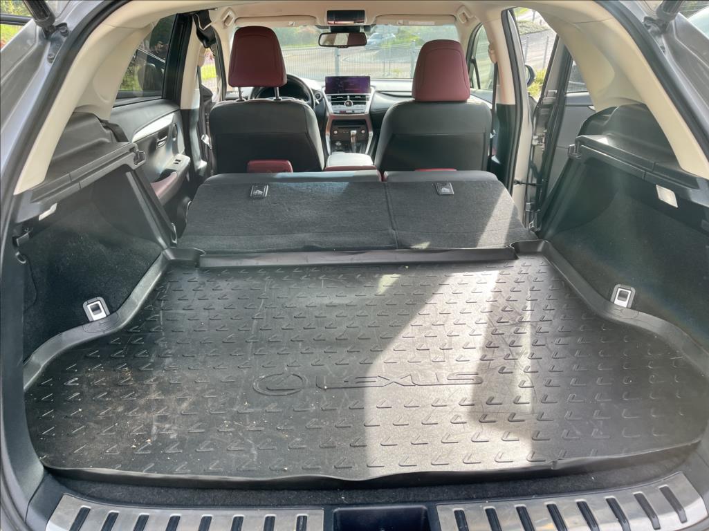 Lexus NX 300h