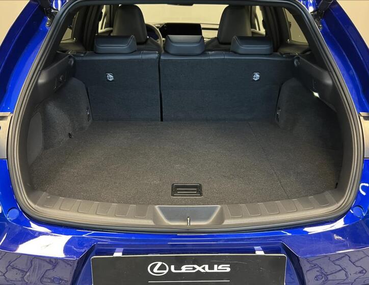 Lexus UX 300h 9