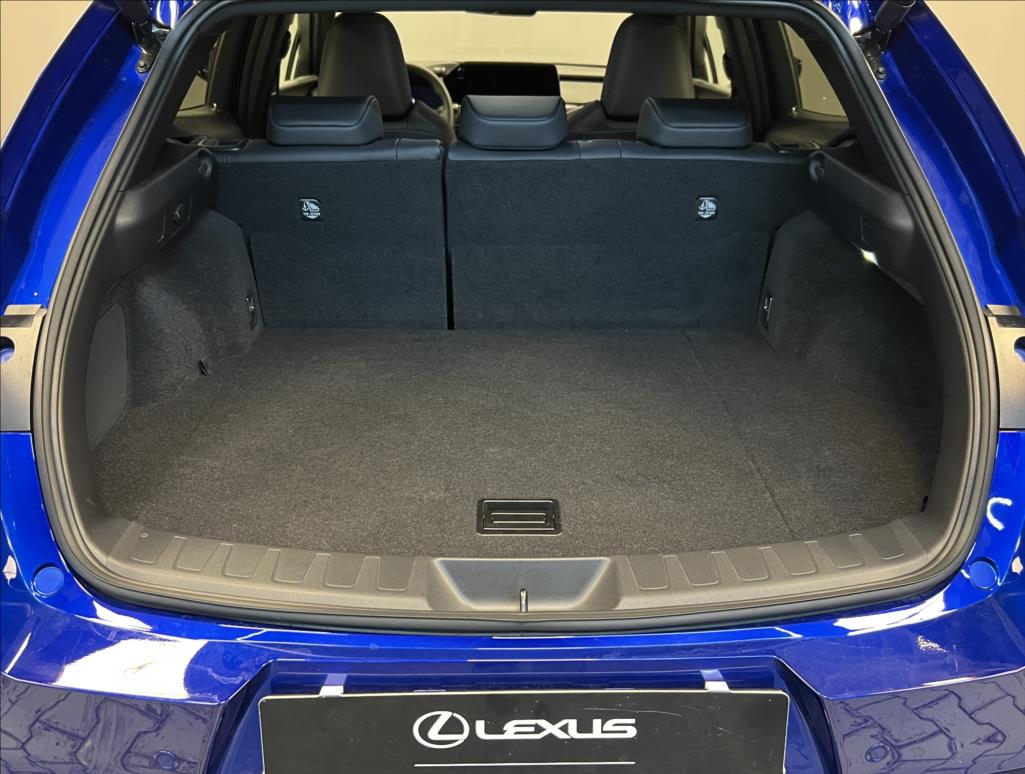 Lexus UX 300h