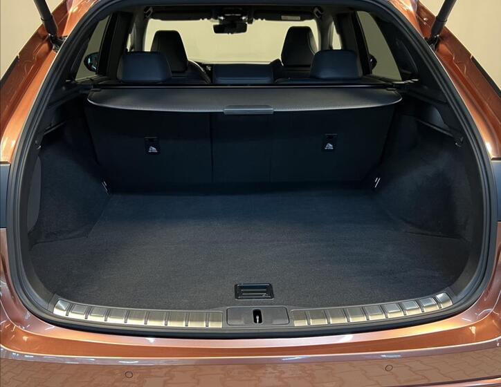 Lexus RX 500h 9