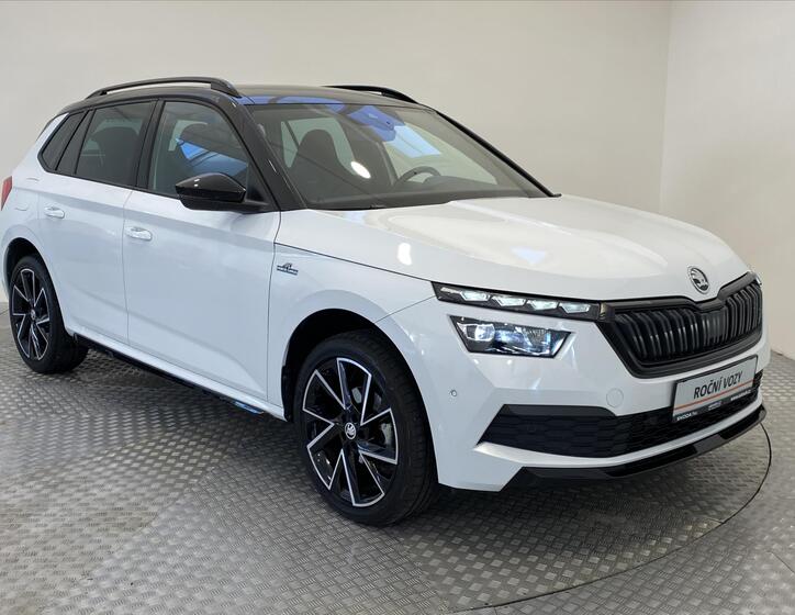 Škoda Kamiq 21