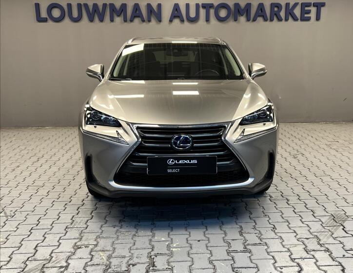 Lexus NX 300h 4
