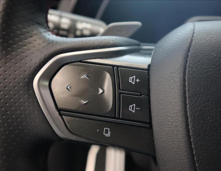Lexus RX 500h 21
