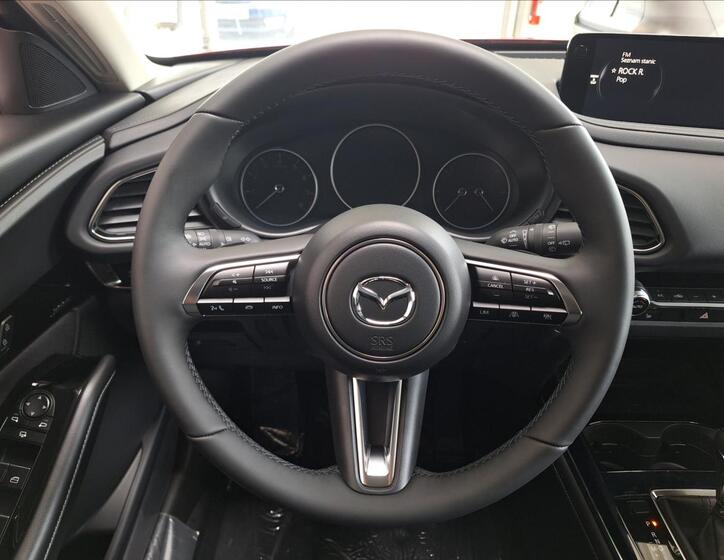Mazda CX-30 9