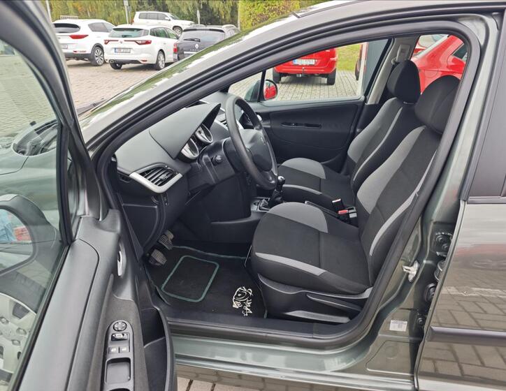 Peugeot 207 10