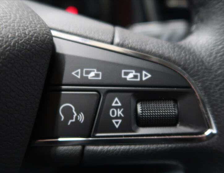 Seat Leon 19