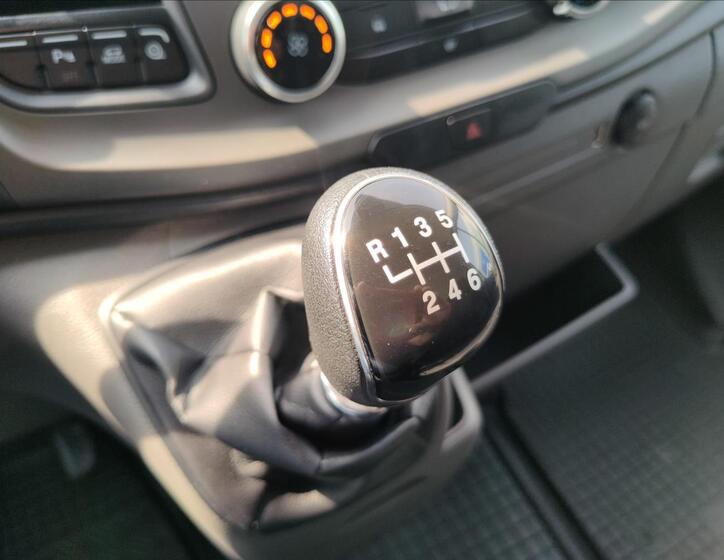 Ford Transit 29