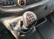 Ford Transit 29