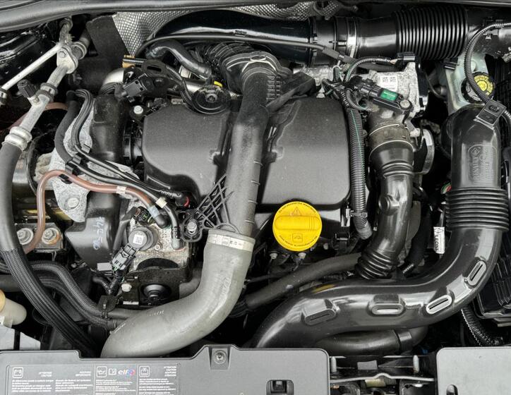 Renault Clio 19